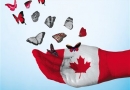 2066名中国公民被加拿大集体驱逐出境，加拿大产子孕妈有影响吗？