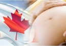 环球宝贝：到加拿大生孩子合法吗？