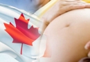 加拿大产子，及时宝宝加拿大护照更换很重要！