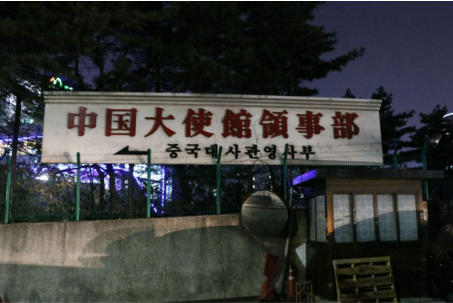 海外生子