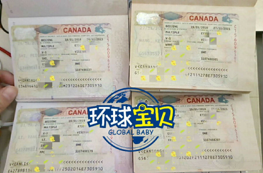 加拿大生子签证
