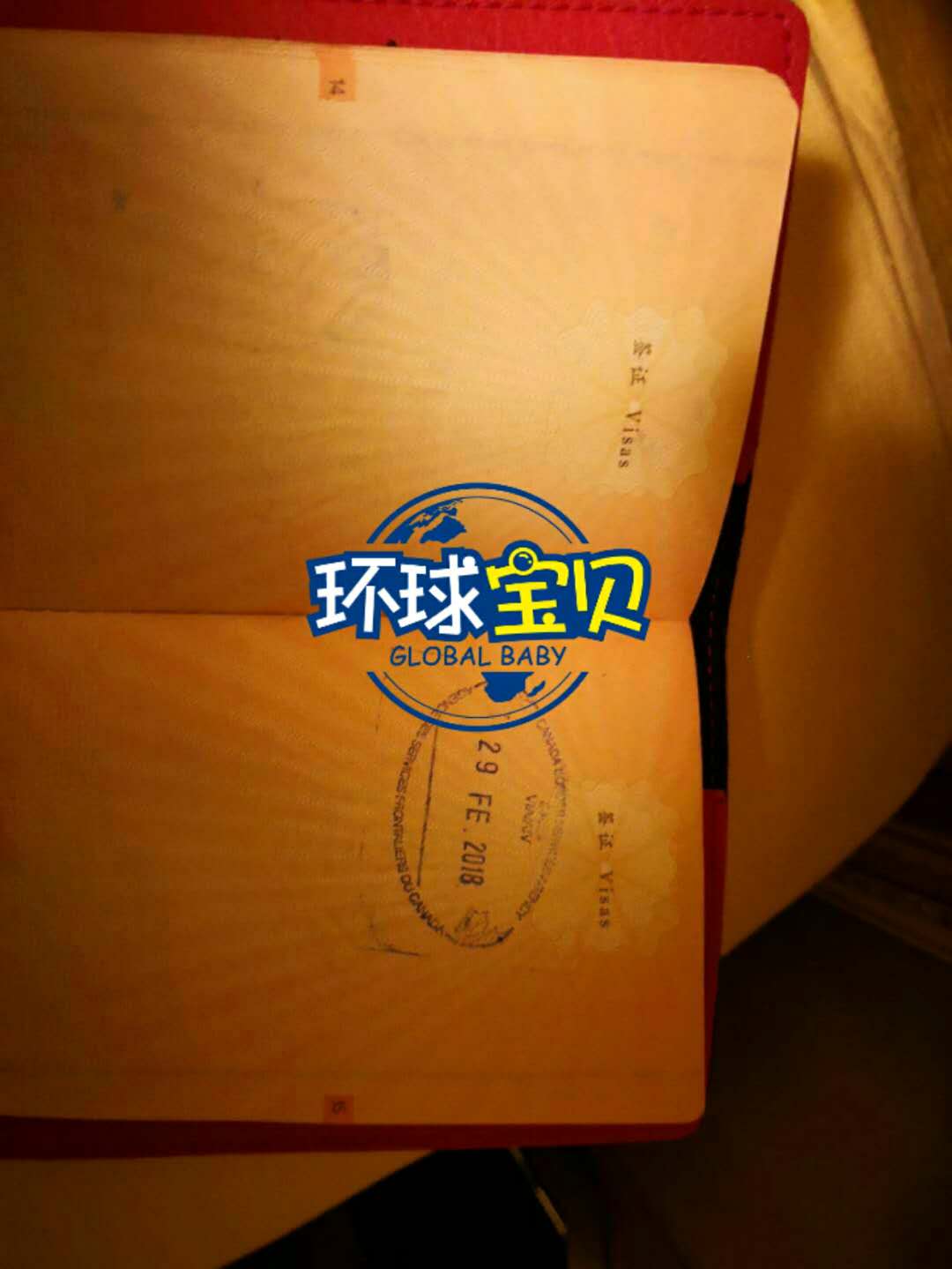 加拿大生子入境