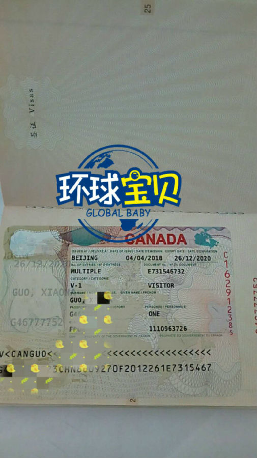 加拿大生子签证