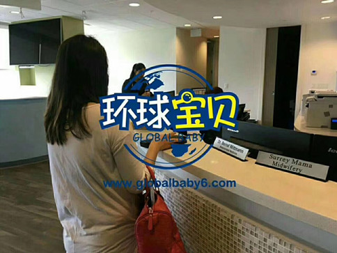 加拿大海外生子机构