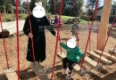 宁波加拿大海外生子机构带孕妈们去公园游玩