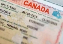 加拿大生子签证难吗？怎么提高签证的通过率？