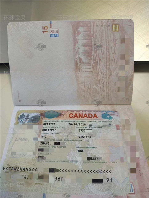 加拿大生宝宝签证