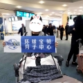 <b>加拿大生孩子好处	,加拿大生孩子中介,怎么去加拿大生孩子</b>
