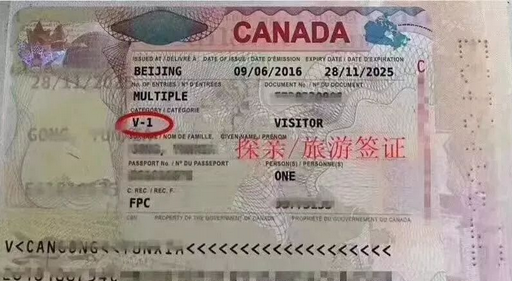 赴加拿大生子签证