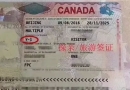 赴加拿大生子签证申请真的很难？