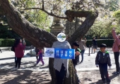 <b>加拿大生孩子利弊</b>