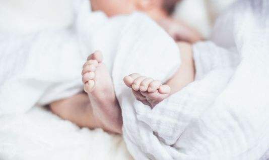 加拿大生子好吗