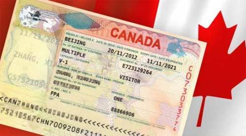 去加拿大生孩子办理什么签证