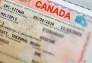 加拿大生子办理的签证类型是什么?多少钱?