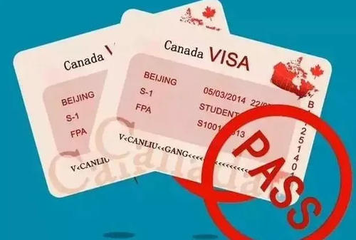 加拿大什么签证可以生宝宝