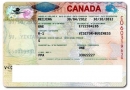 办加拿大旅游签证去生孩子相关问题解答！
