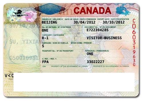 办加拿大旅游签证去生孩子