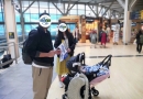 及时掌握加拿大生子中介的骗人招数，避免上当