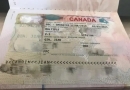 去加拿大生孩子可能会遇到哪些问题？